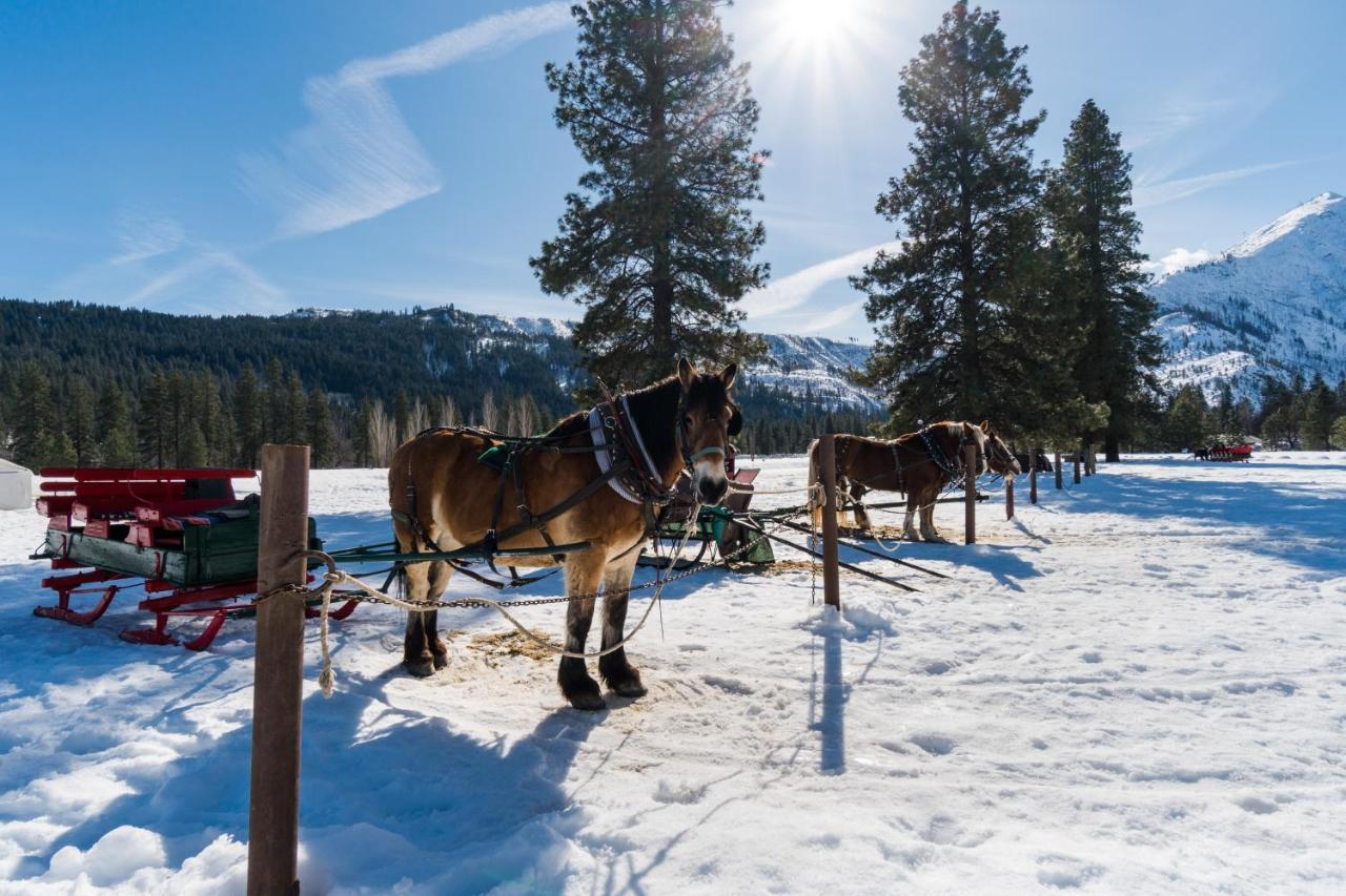 Aspen Suites 505: Enchantment Abode Leavenworth Exteriör bild